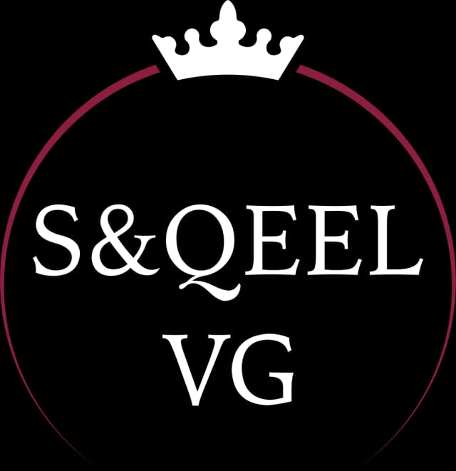 Sqeel Logo